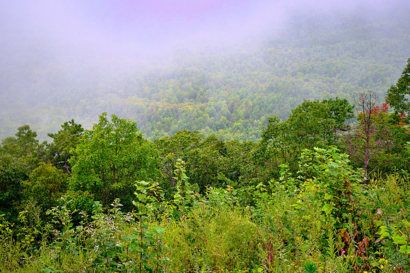 Cherohala Skyway, Tennessee