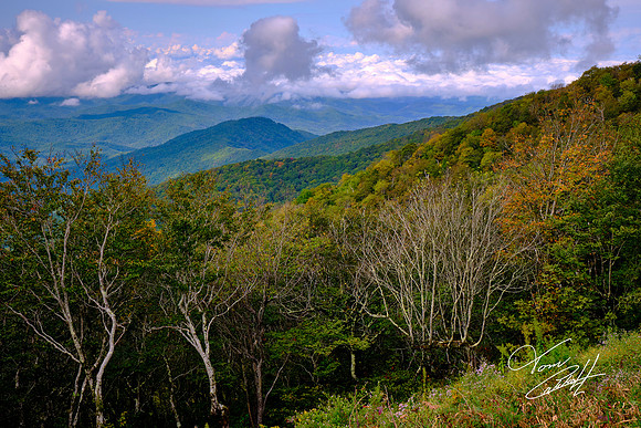 Cherohala Skyway, Tennessee