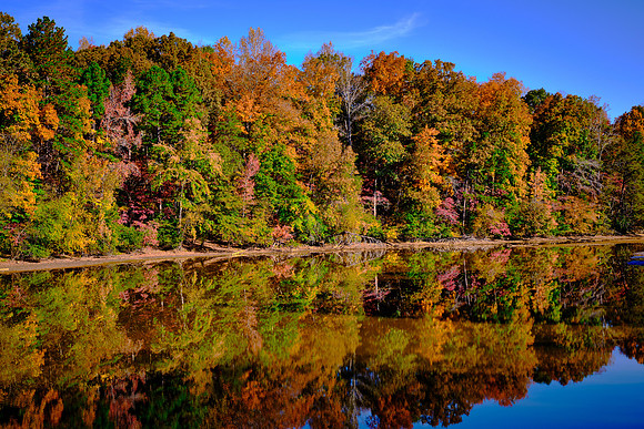 Lake Norman State Park in the Fall