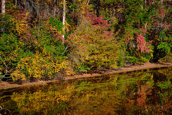 Lake Norman State Park in the Fall