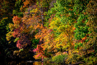 2022 Oct - Carolina in the Fall