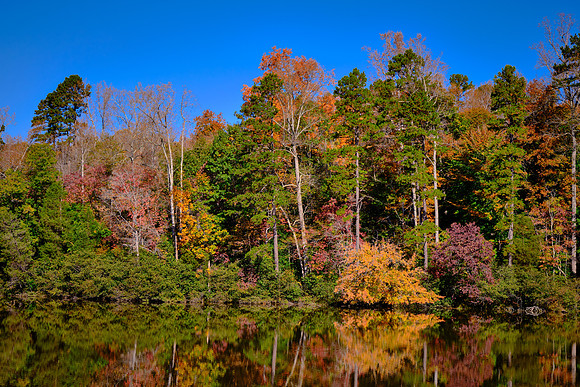 Lake Norman State Park in the Fall