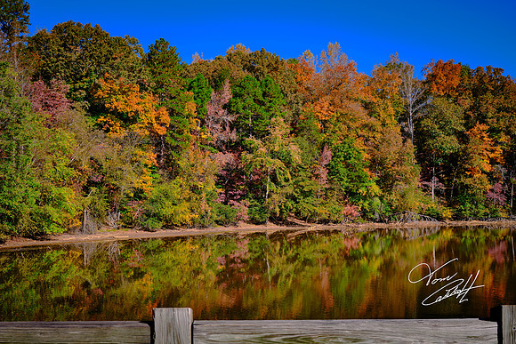 Lake Norman State Park in the Fall