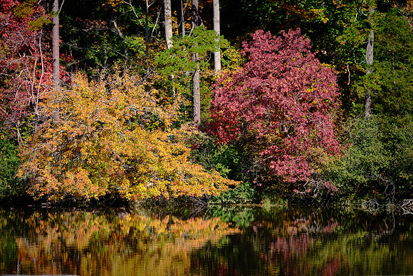 Lake Norman State Park in the Fall
