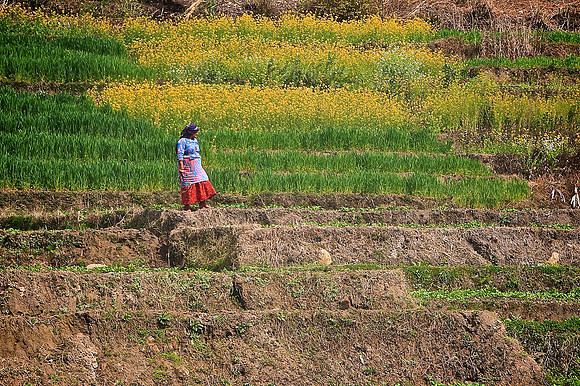 Rural life on the outskirts of Kathmandu