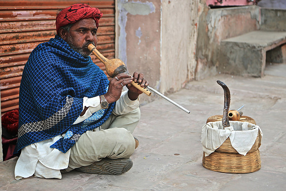 Jaipur, India