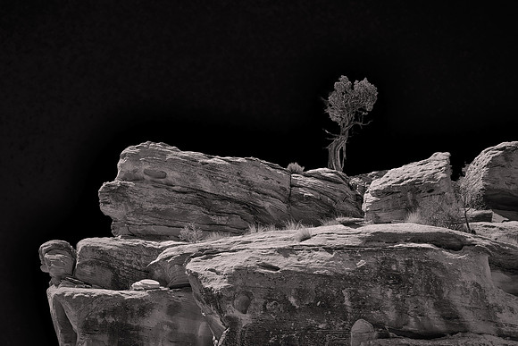 Near Panorama Point, Sunset Point, and the Goosenecks, Capitol Reef National Park, UT.   - Utah Revisited in B&W: 2022 April 27- May 5.
