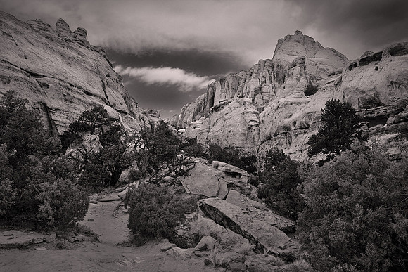 Capitol Reef National Park, UT.  - Utah Revisited in B&W: 2022 April 27 - May 5