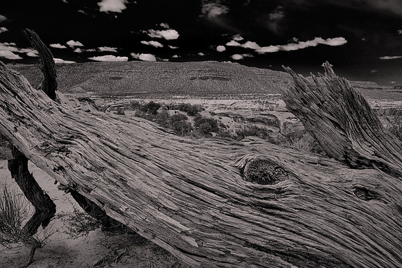 Capitol Reef National Park, UT.  - Utah Revisited in B&W: 2022 April 27 - May 5