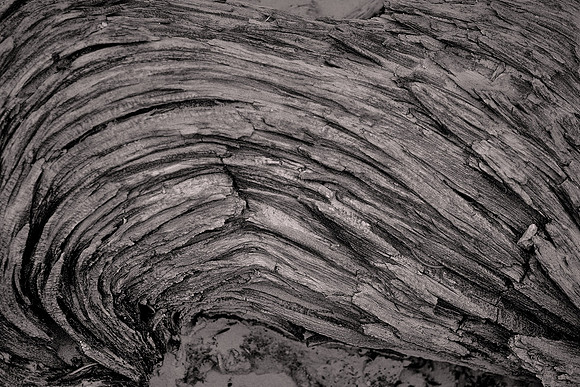 Capitol Reef National Park, UT.  On the way to Hickman Bridge. - Utah Revisited in B&W: 2022 April 27- May 5.