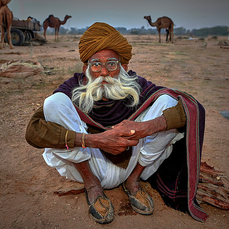 2014 February: Camel Auction, Nagaur, Rajasthan, India