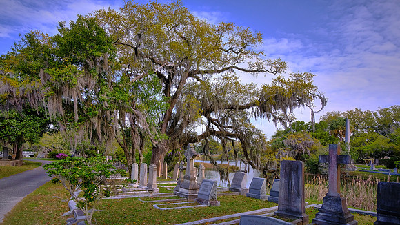 Magnolia Cemetery, Charleston, SC