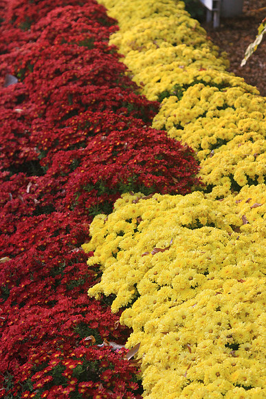 New Bern, NC