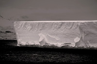2025 Oct - Antarctica-Patagonia in B&W