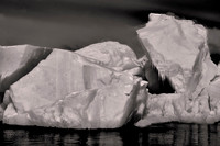 2025 Oct - Antarctica-Patagonia in B&W