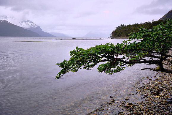 Glacier Aguíla, Agostini National Park, Chilean Fjords