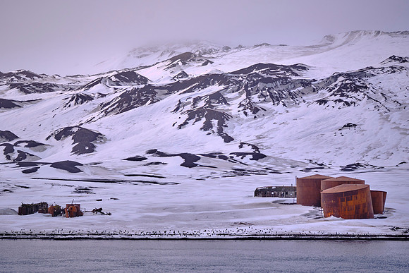 Whaler's Bay, Deception Island, South Shetland Islands, Antarctica