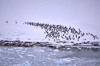 2025 Oct - Antarctica & Patagonia