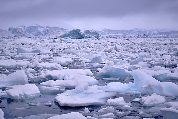 Paradise Bay, Antarctica
