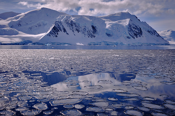 Pancake ice, Horseshoe Island, Antarctica