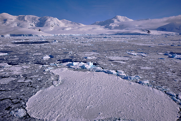The Gullet is a narrow channel between Adelaide Island and the west coast of Graham Land.
