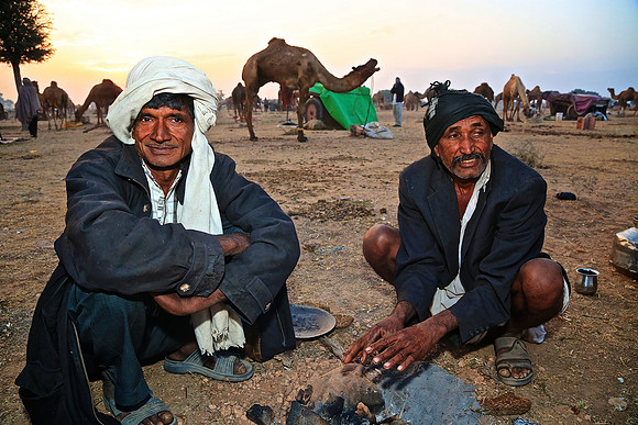 Nagaur Camel and Livestock Fair, Nagaur, Rajasthan