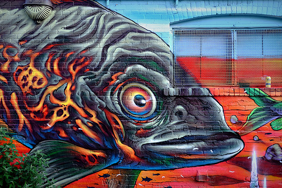 Toronto Street Art