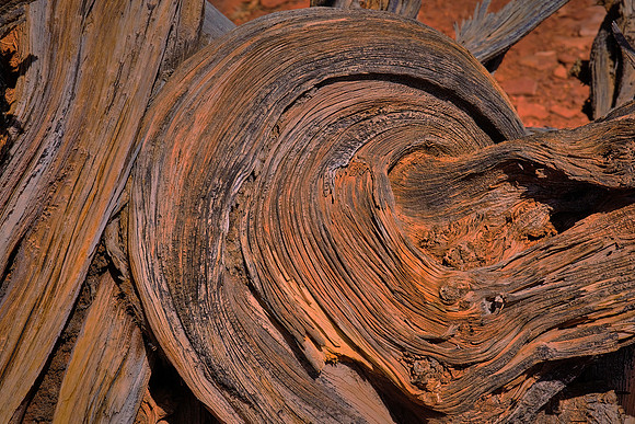 Capitol Reef National Park, UT.  Around Panorama Point, Sunset Point, and the Goosenecks.