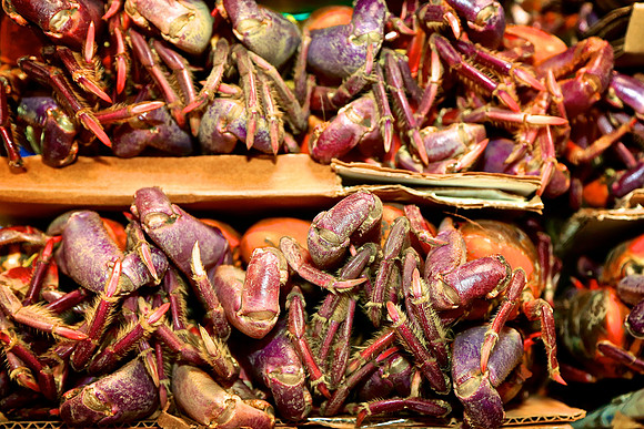 Quito, Ecuador