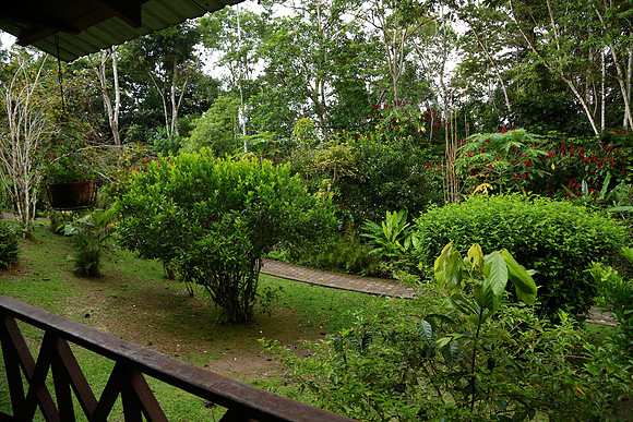 Napo River, Amazon, Ecuador