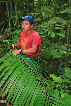 Napo River, Amazon, Ecuador