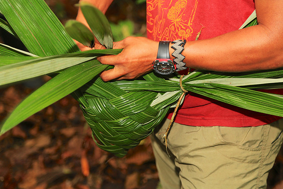 Napo River, Amazon, Ecuador