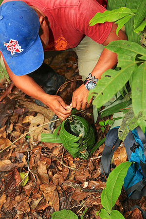 Napo River, Amazon, Ecuador
