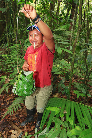 Napo River, Amazon, Ecuador