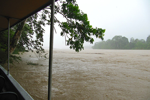 Napo River, Amazon, Ecuador