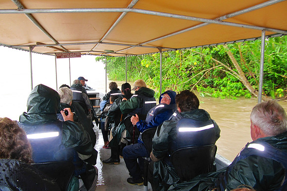 Napo River, Amazon, Ecuador