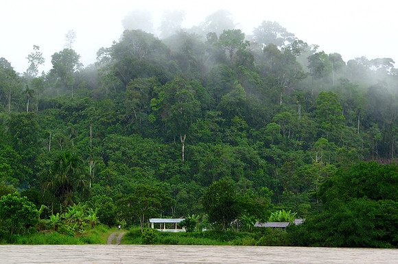 Napo River, Amazon, Ecuador