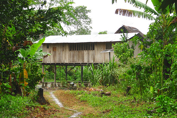 Napo River, Amazon, Ecuador