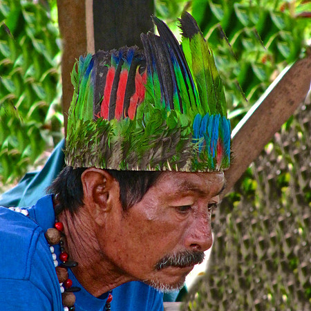 Napo River, Amazon, Ecuador