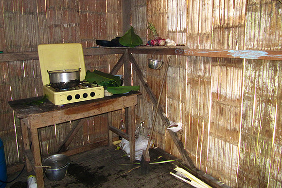 Napo River, Amazon, Ecuador