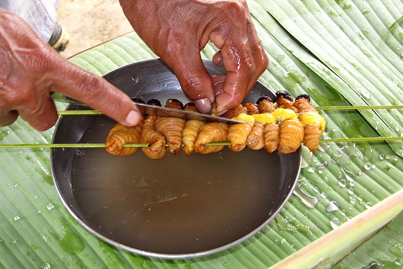Napo River, Amazon, Ecuador