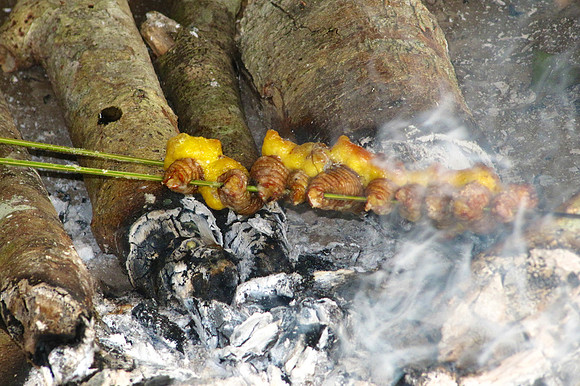 Napo River, Amazon, Ecuador