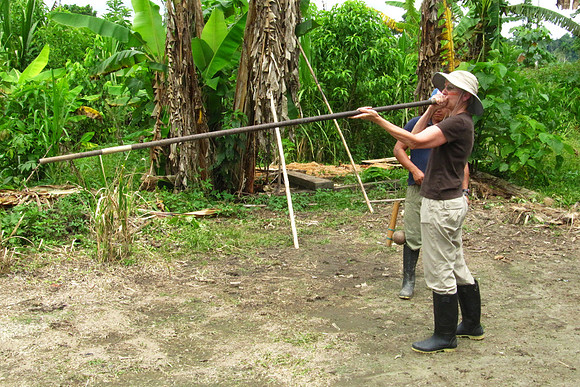 Napo River, Amazon, Ecuador