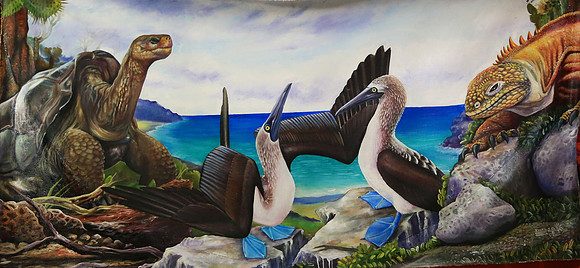 Galapagos Islands