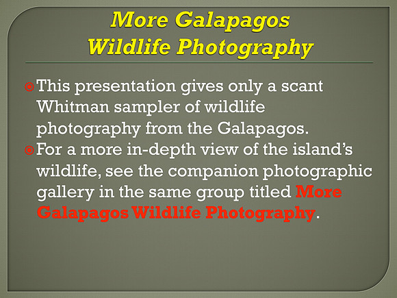 Galapagos Islands