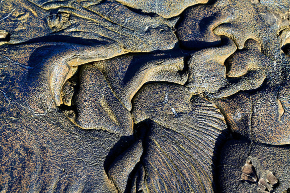 Sullivan Bay, Galapagos Islands