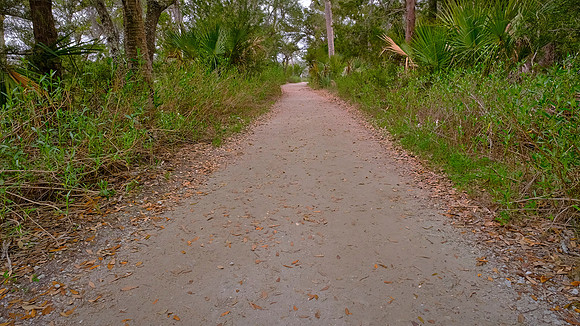 Botany Bay, Edisto Island, SC