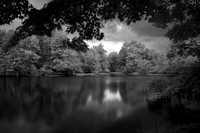 2024 May - Blue Ridge Parkway in Infrared