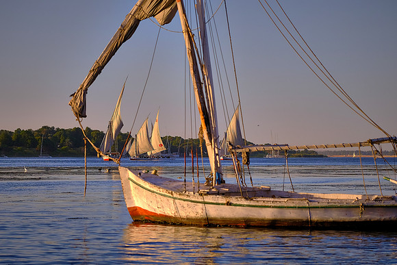 We flew from Cairo to Aswan and went birding one evening on the Nile River.