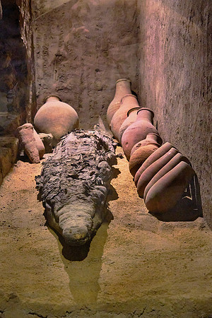 The crocodile was both feared and honored as a god.  Burial of crocodile mummies include provisions for the afterlife.